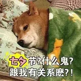 单身